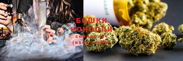 ГАЛЛЮЦИНОГЕННЫЕ ГРИБЫ Михайловка