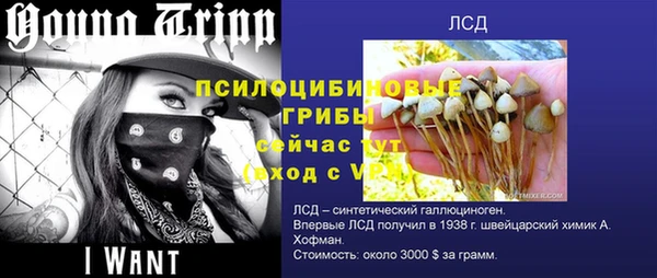 MESCALINE Михайловск