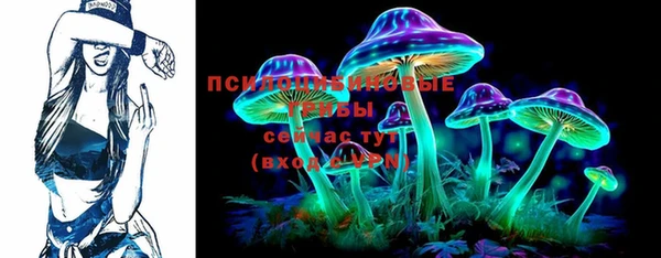 ГАЛЛЮЦИНОГЕННЫЕ ГРИБЫ Михайловка