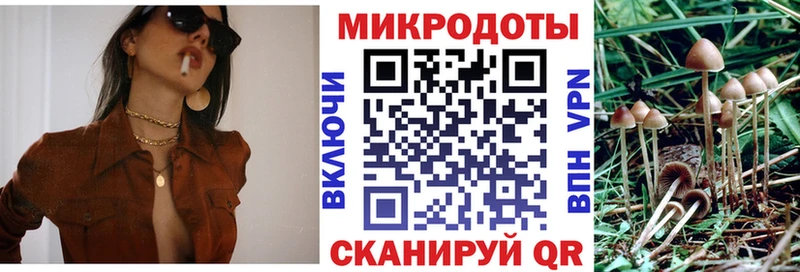 Купить где  Екатеринбург  Галлюциногенные грибы Psilocybe 