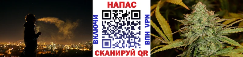 Купить где  Екатеринбург  Конопля Amnesia 